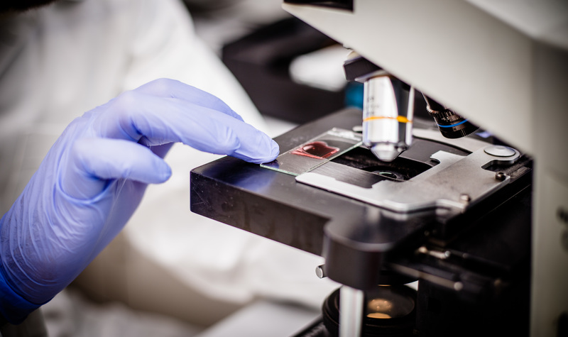 Wydział Biochemii, Biofizyki i Biotechnologii