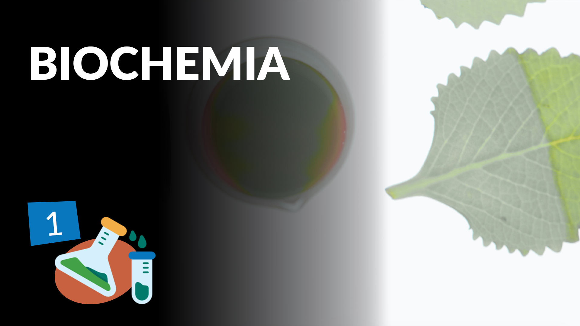 Biochemia 1