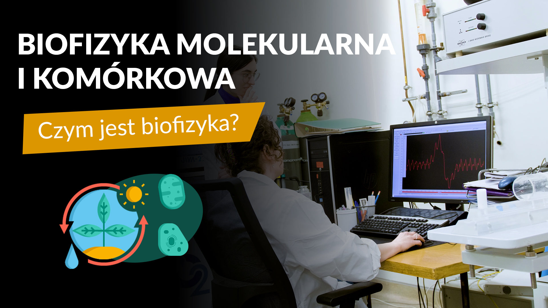 Biofizyka molekularna i komórkowa: Czym jest biofizyka?